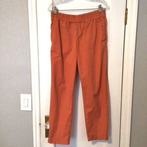 Everlane Easy Chino in Coral